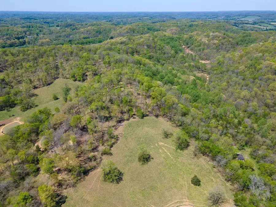 0 Williams Rd, Cornersville, TN 37047 - #2