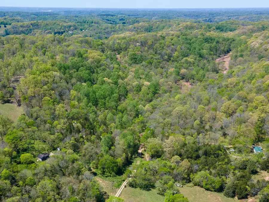 0 Williams Rd, Cornersville, TN 37047 - #3