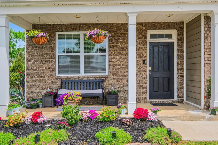 302 Ryan Rd, Chapel Hill, TN 37034 - #3