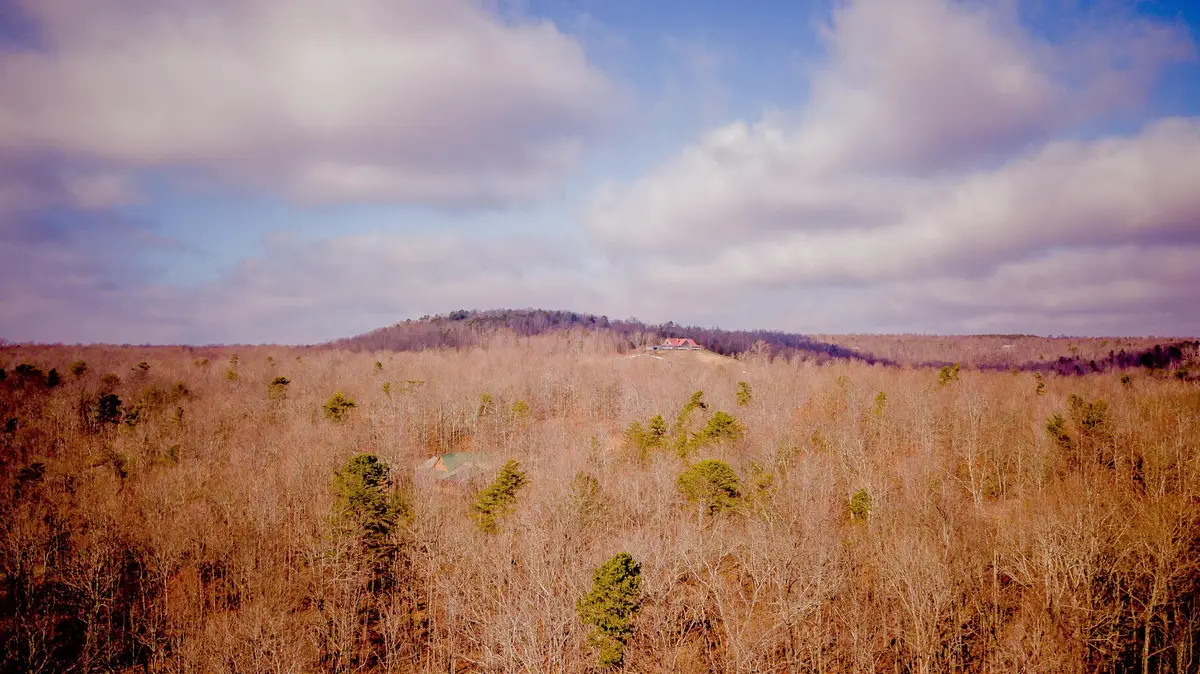309 Tree House Trail, Dunlap, TN 37327 - #1