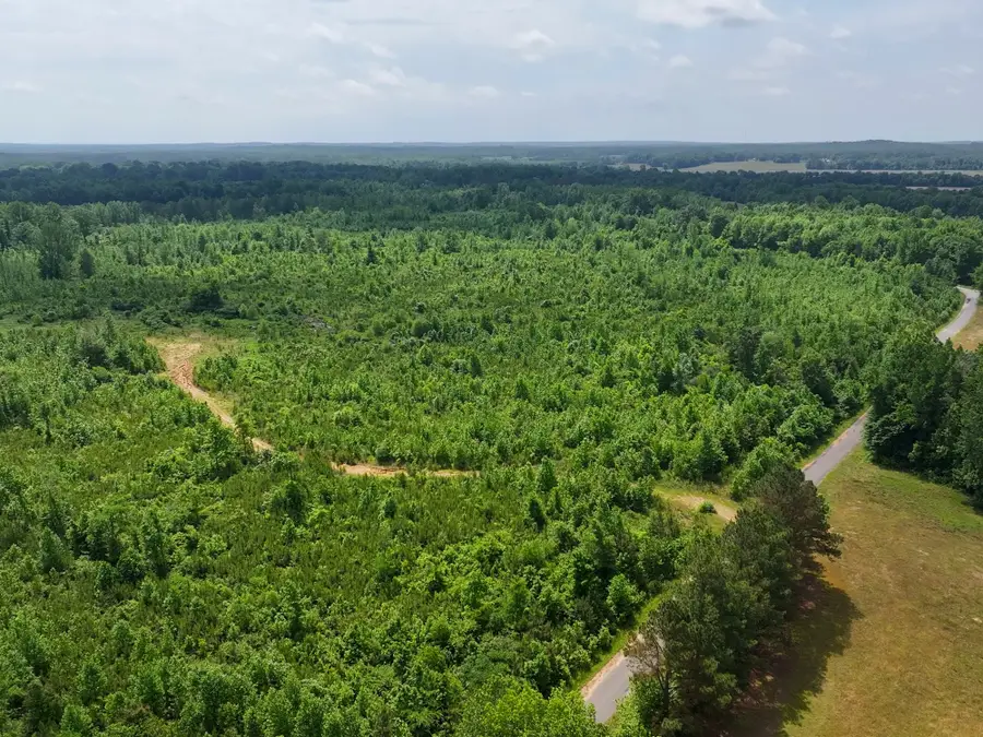 0 Hwy 22a S, Enville, TN 38332 - #3