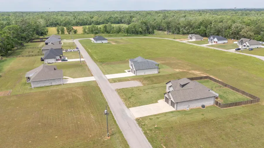 450 Cordova Cv, Savannah, TN 38372 - #3