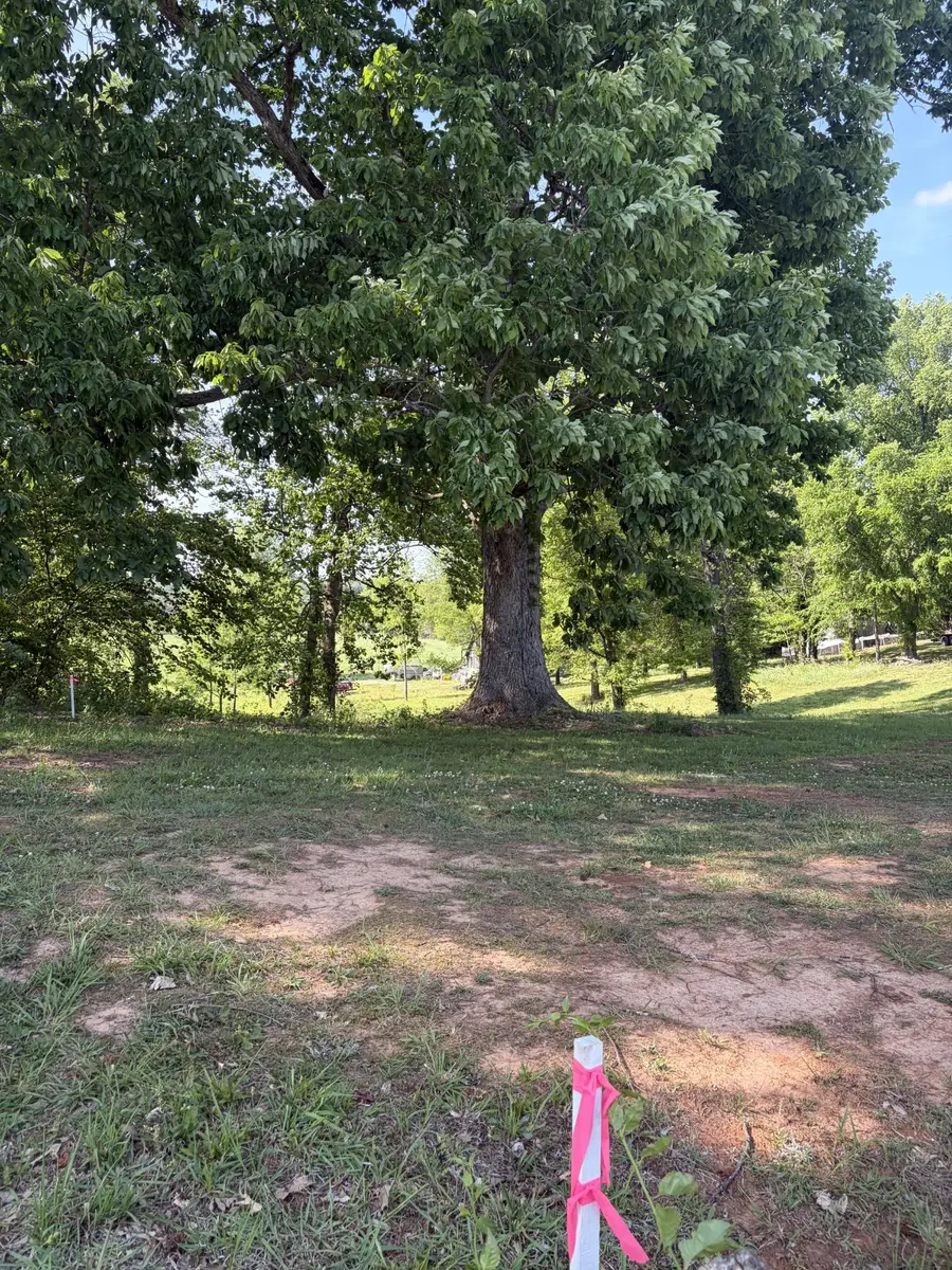 0 Old Morrison Road, McMinnville, TN 37110 - #3