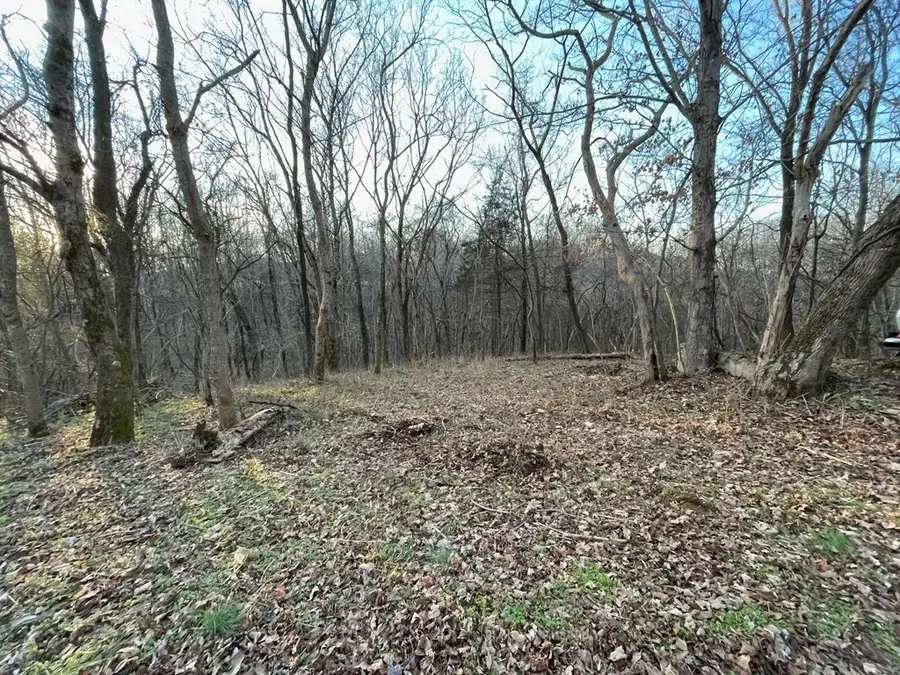 0 Baptist Church Road, Culleoka, TN 38451 - #3