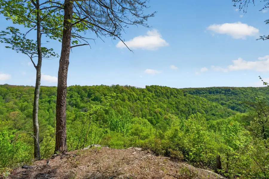 2076 Timberwood Trace Lots 317&318, Monteagle, TN 37356 - #3