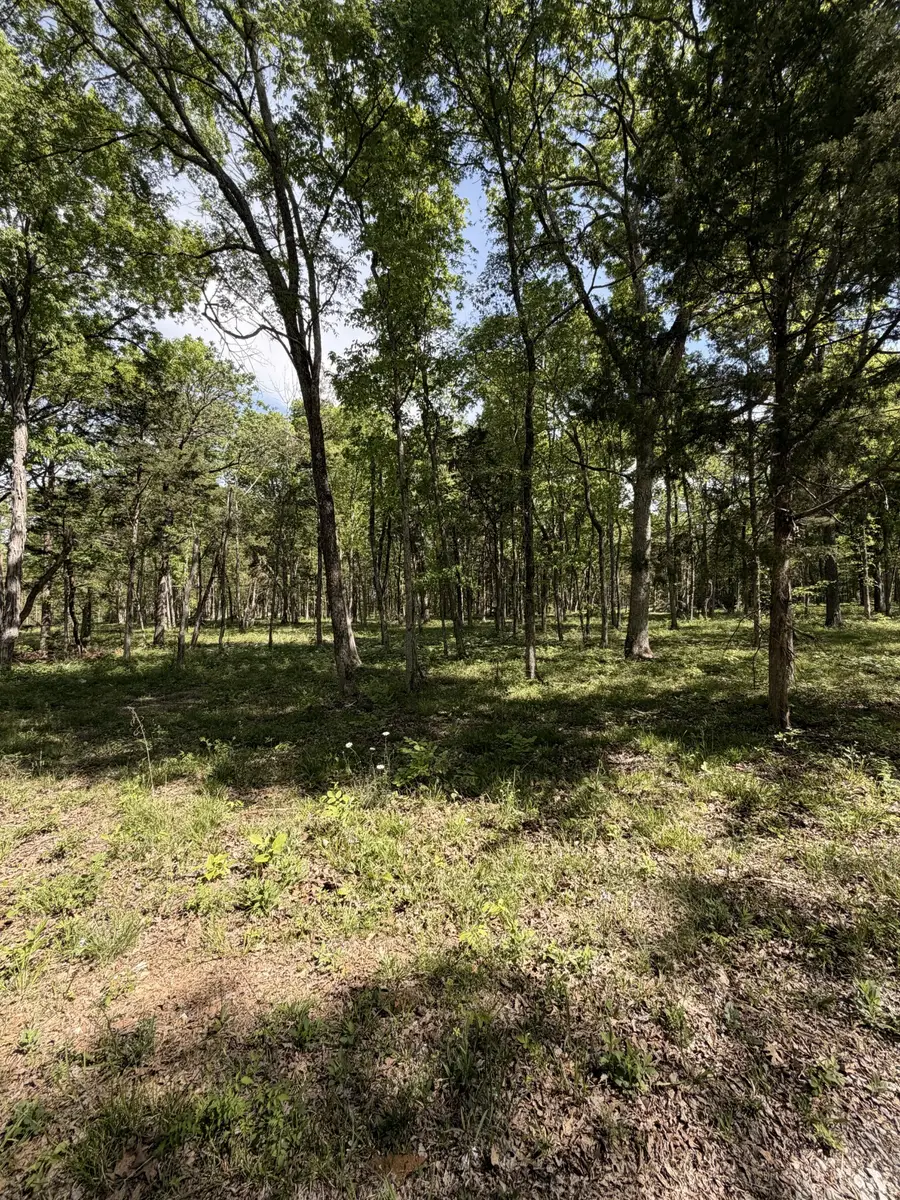 0 Millersburg Road, Christiana, TN 37037 - #3