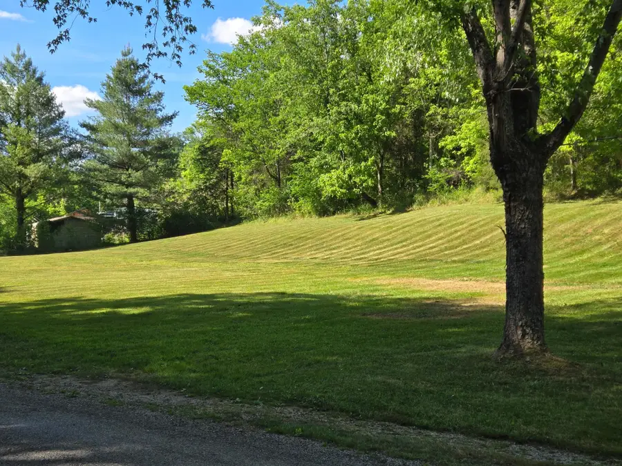 0 Dog Branch Road S, Pleasant Shade, TN 37145 - #2
