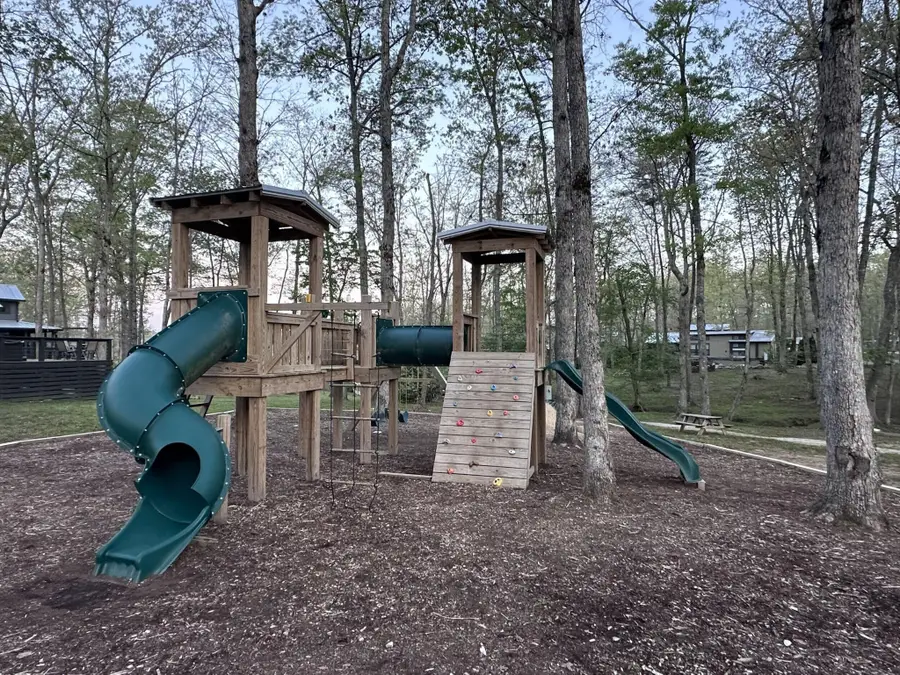 157 Dwellings Drive #Lot 187, Tracy City, TN 37387 - #3