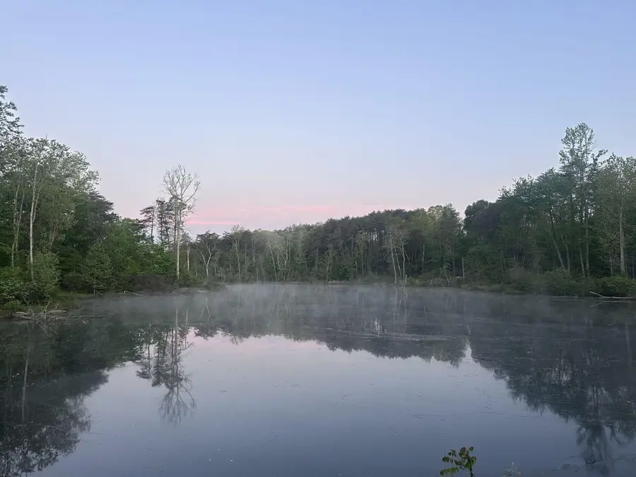 44 Dwellings Drive #Lot 179, Tracy City, TN 37387 - #3