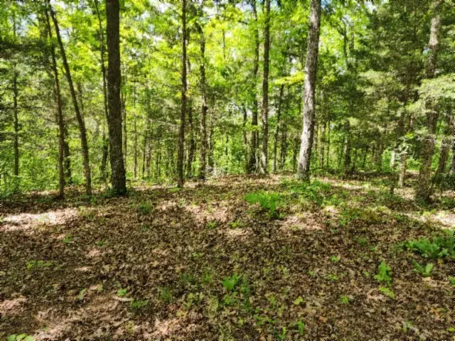 0 Froest Trails, Celina, TN 38551 - #1