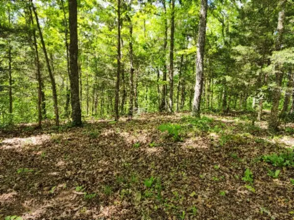 0 Froest Trails, Celina, TN 38551