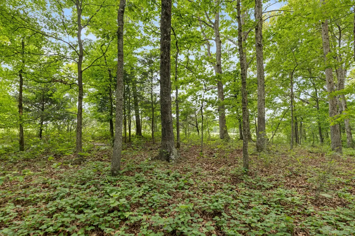 0 Old Number One Rd, Dickson, TN 37055 - #1