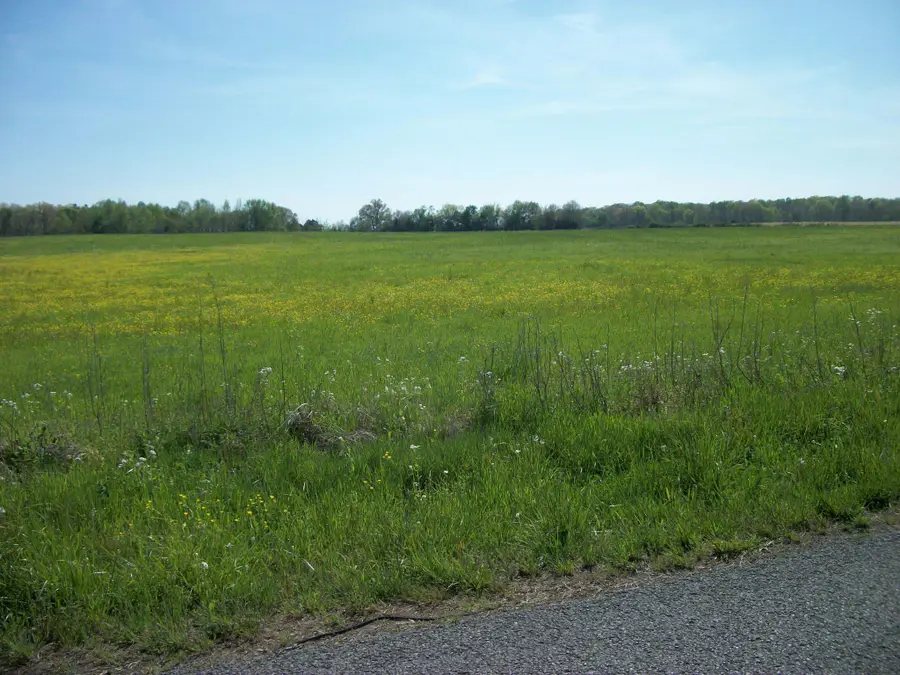 0 Blanton School Rd, Woodbury, TN 37190 - #3