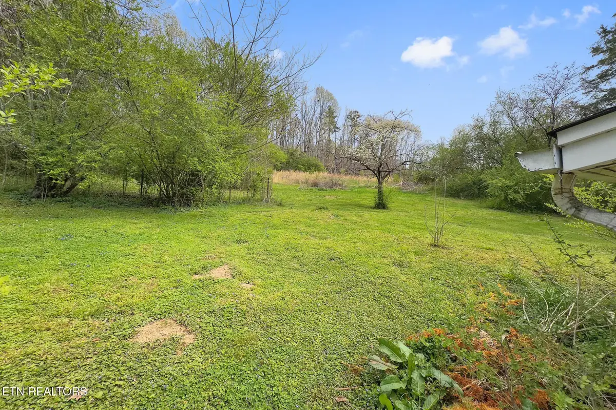 1447 Webster Rd, Harriman, TN 37748 - #1