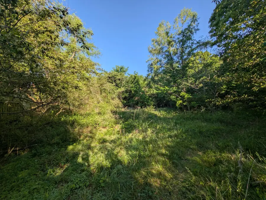 1023 Abiff Rd, Bon Aqua, TN 37025 - #3