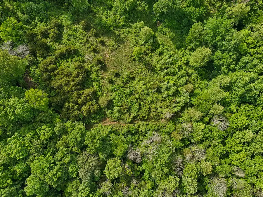 0 Conley Rd, Woodbury, TN 37190 - #3