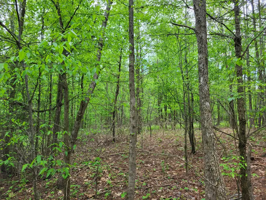 0A Red Ash Rd, Sugar Tree, TN 38380 - #2