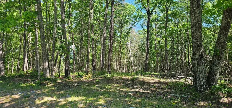 0 Bluffview Dr, Dunlap, TN 37327 - #3