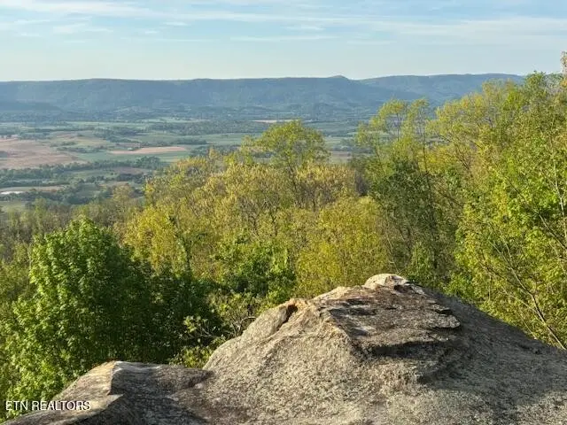 0 Gray Rock View, Pikeville, TN 37367 - #1