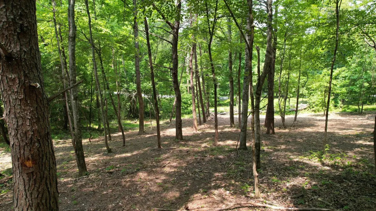 0 Cypress Drive, Spring City, TN 37381 - #1