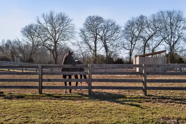 441 Matts Hollow Rd, Manchester, TN 37355