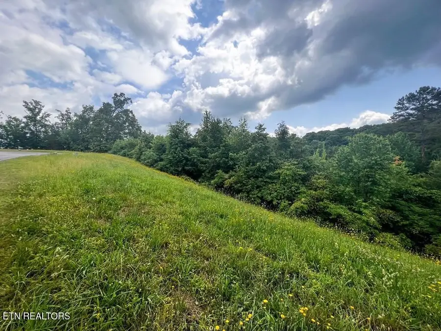 6213 Outlook Tr, Russellville, TN 37860 - #3