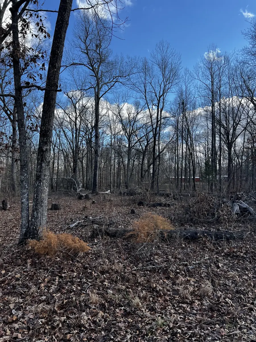 0 Oak Dr, Beechgrove, TN 37018 - #3