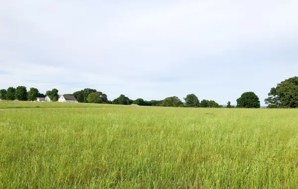 0 Old Holders Cove Rd, Winchester, TN 37398