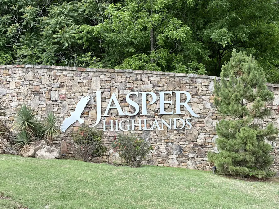 0 Raulston Falls Rd, Jasper, TN 37347 - #2