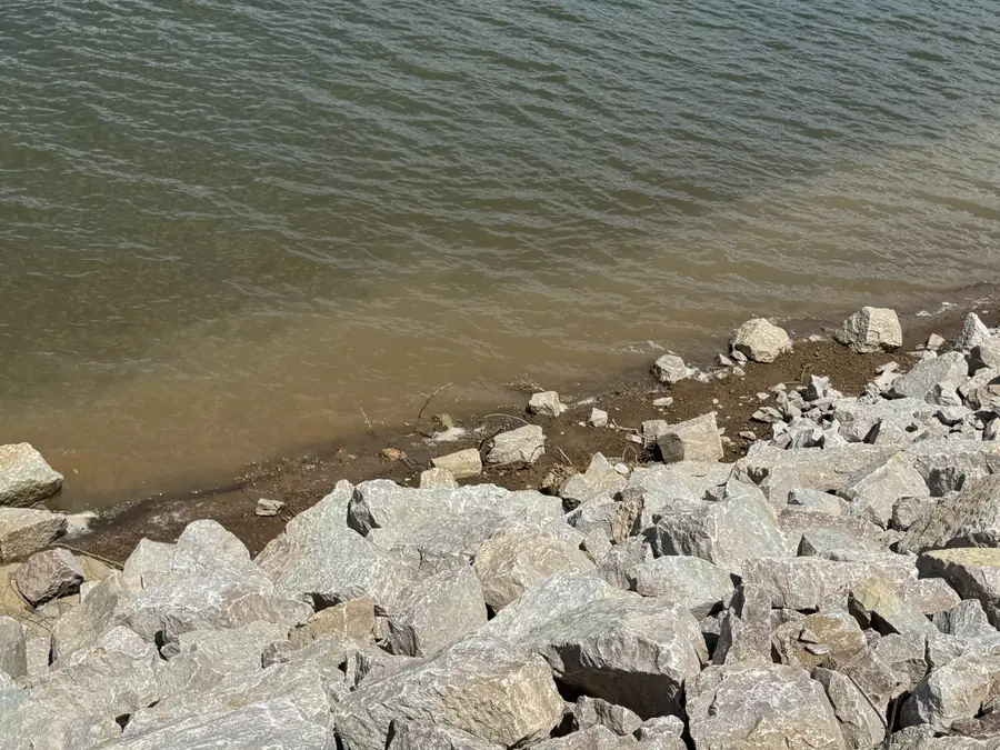 705 River Front Drive, Clifton, TN 38425 - #3