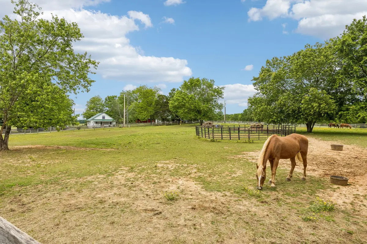 106 N Maple Ave, Ethridge, TN 38456 - #1