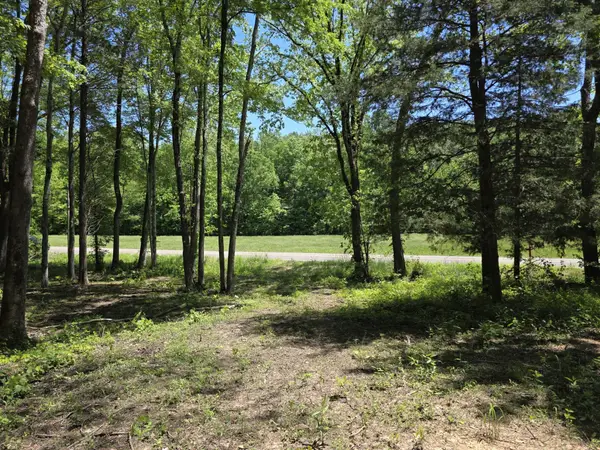 0 Birdsong Rd, Holladay, TN 38341