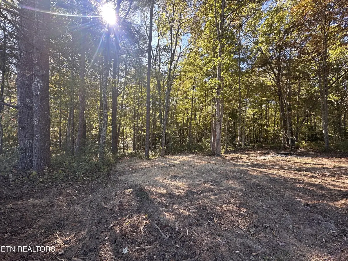 186 Cave Branch Rd, Allardt, TN 38504 - #1