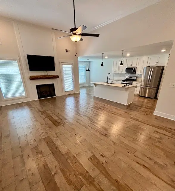 905 Frog Gip Pond Ct, Clarksville, TN 37043 - #2