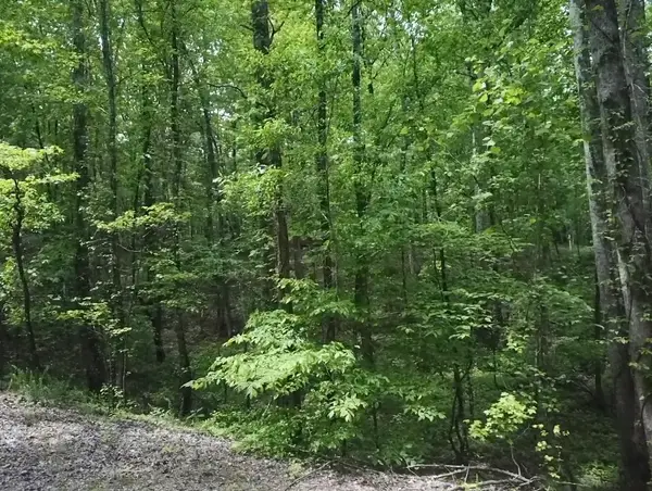 730 Wayne Smith Rd, Saulsbury, TN 38067