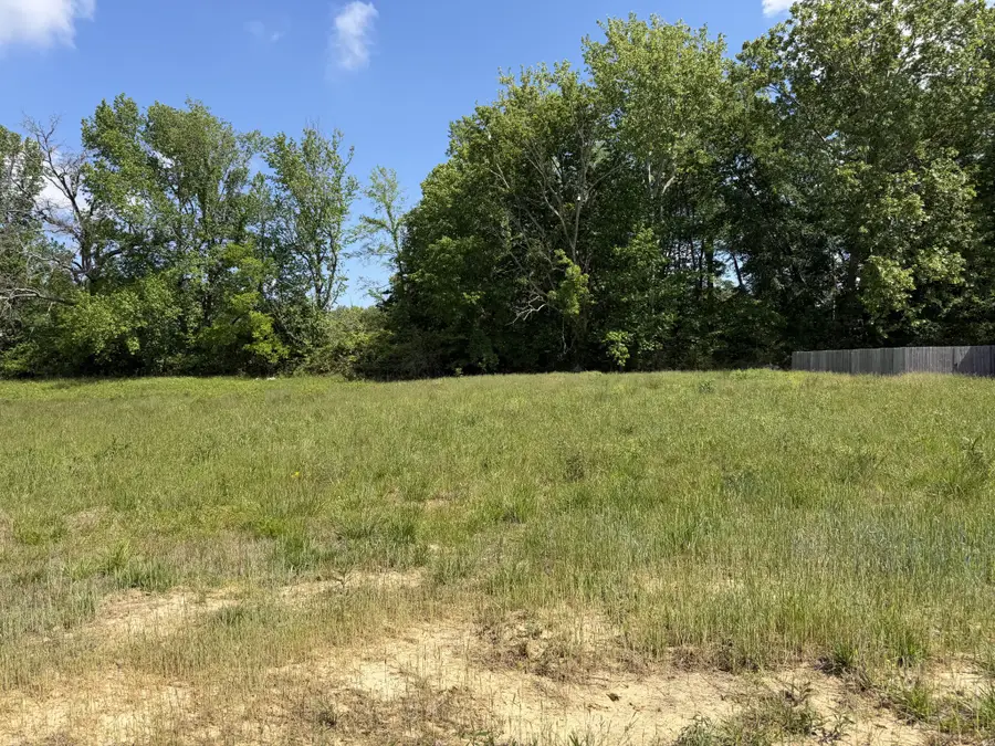 141 Reece Rd, Baxter, TN 38544 - #3