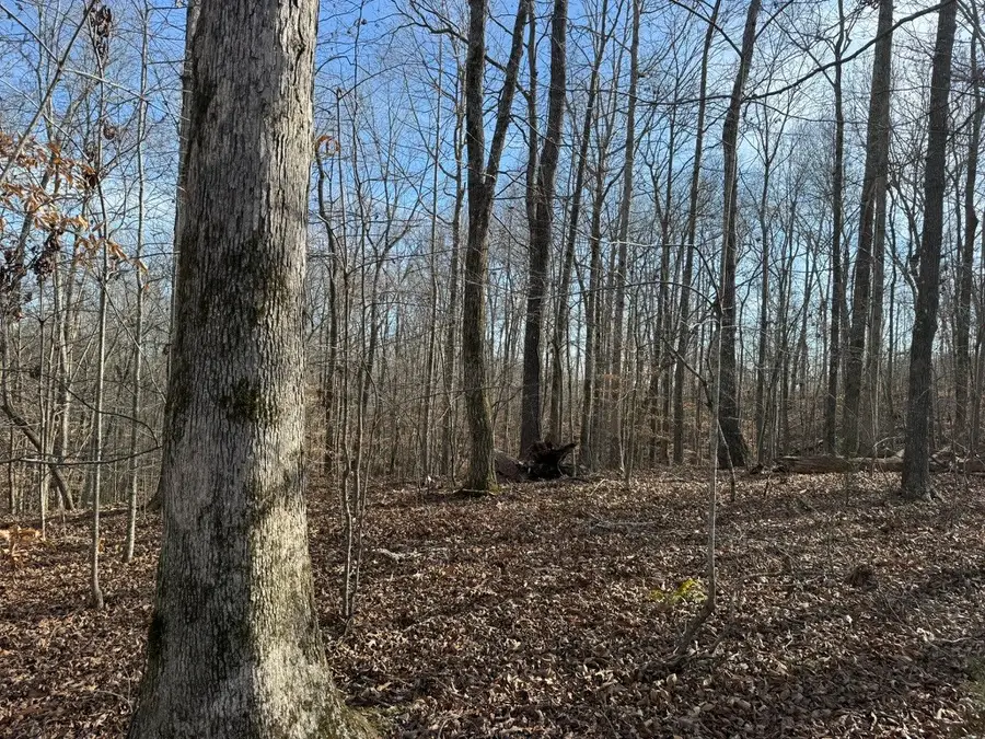 0 Riverwatch Trace, Sparta, TN 38583 - #2