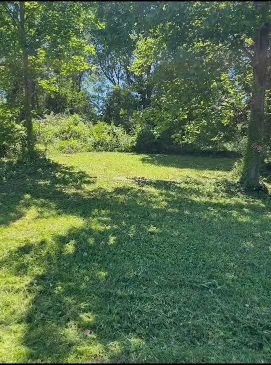 115 Morningside St, McMinnville, TN 37110 - #1