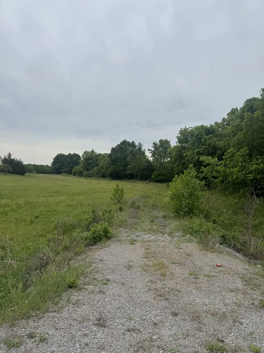 0 Midland Fosterville Rd, Bell Buckle, TN 37020 - #3