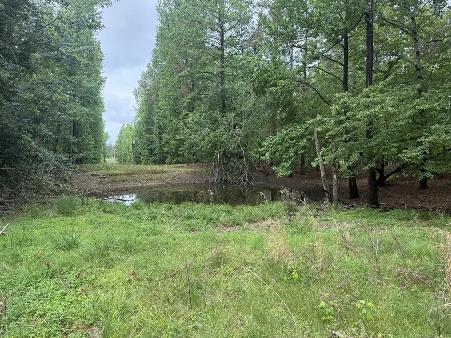 9402 Brooksie Thompson Rd, Bath Springs, TN 38311 - #3
