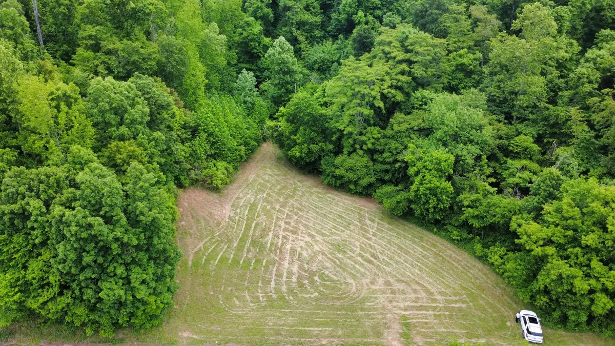 0 Love Branch Rd, Hampshire, TN 38461 - #1