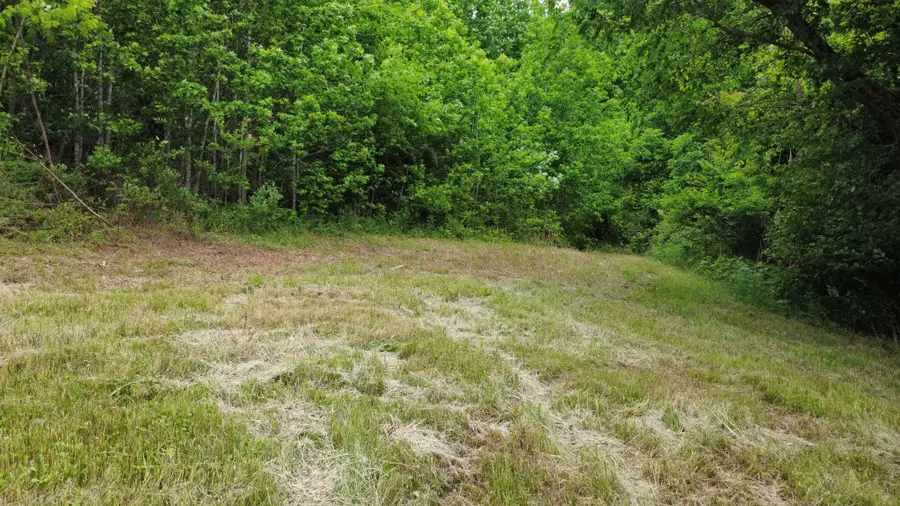 0 Love Branch Rd, Hampshire, TN 38461 - #3