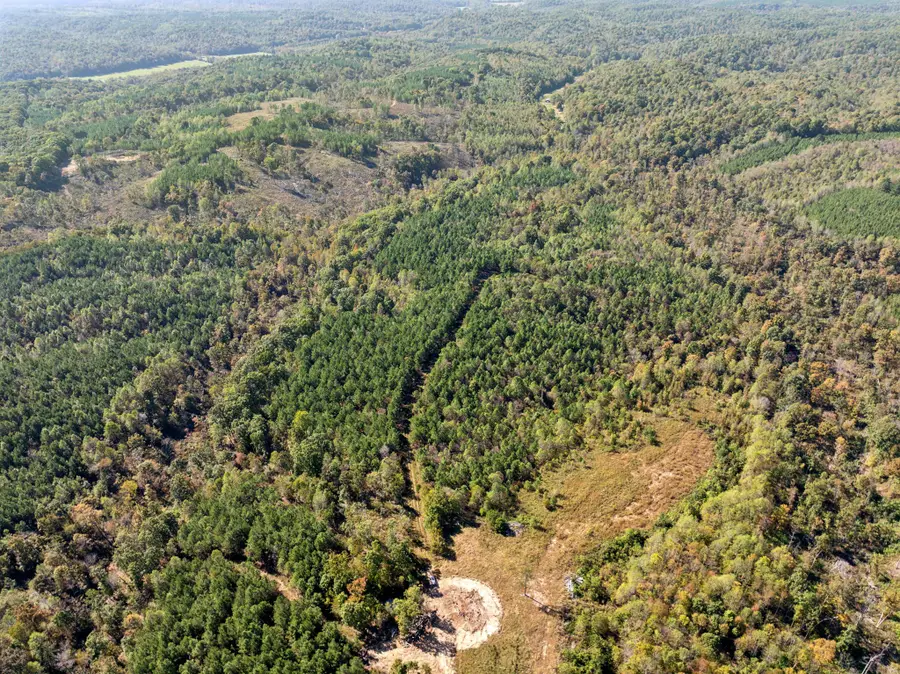 0 Cox Hollow Lot 43a & 43b, Dover, TN 37058 - #3