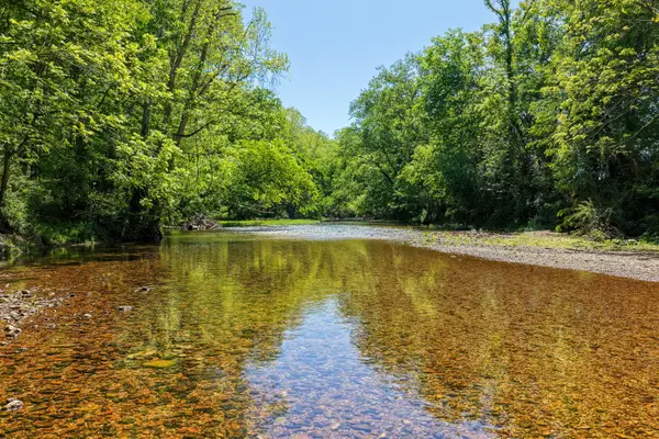 0 Phillips Chapel Rd, Waynesboro, TN 38485