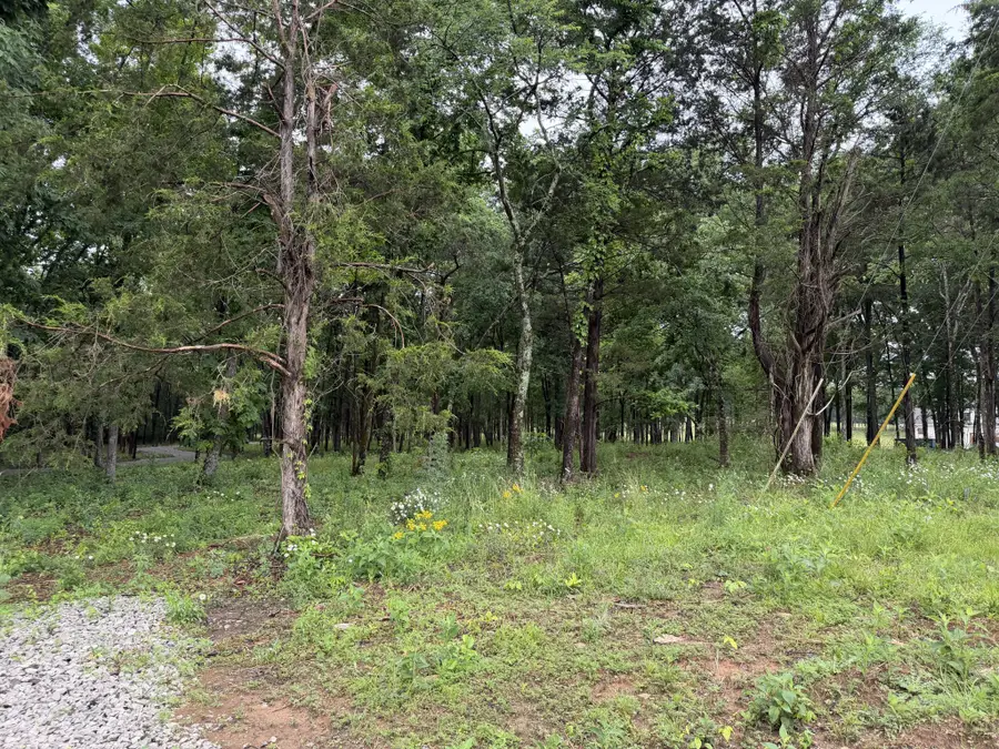 2827 Unionville Rd, Chapel Hill, TN 37034 - #2
