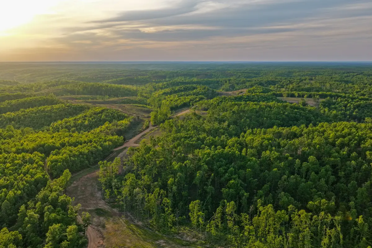 0 Firetower Rd, Centerville, TN 37033 - #1