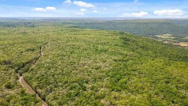 0 Deepwoods Road, Sewanee, TN 37375