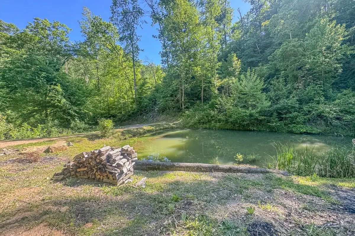 0 Lost Hollow Ln, Ashland City, TN 37015 - #1