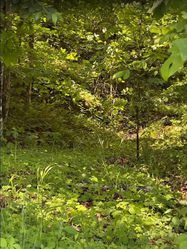 0 Spring Creek Road, Cookeville, TN 38501