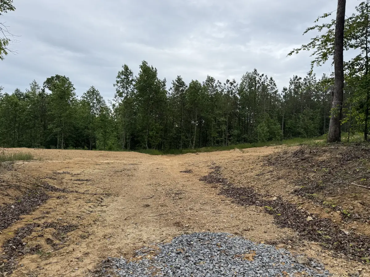 3047 Hwy 231, Erin, TN 37061 - #1